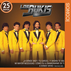 Íconos 25 Éxitos album