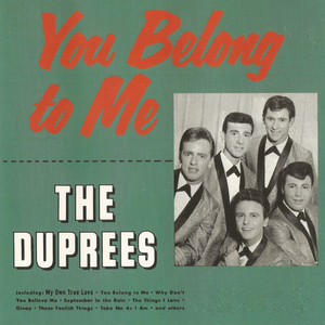 You Belong to Me cover
