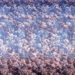 Into the Trees cover