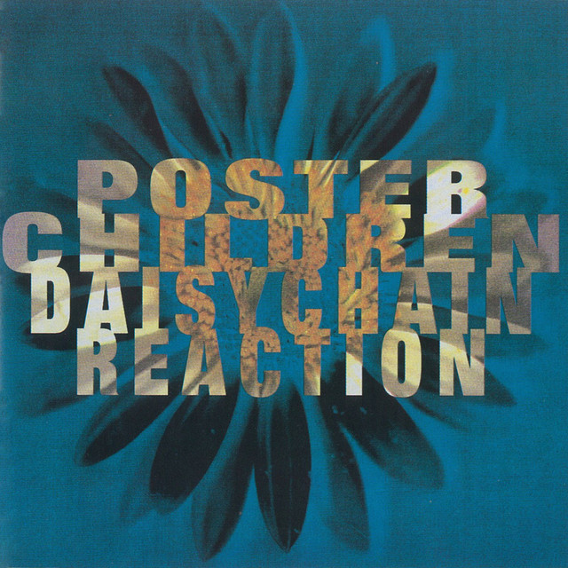 Daisychain Reaction cover