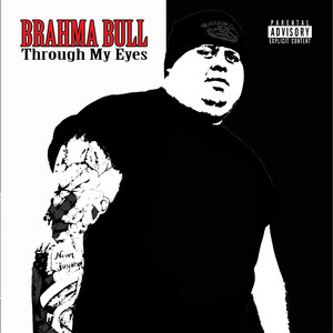 Brahma Bull Photo