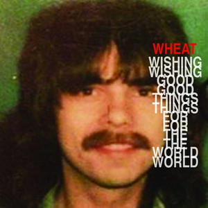 Wishing Good Things for the World album