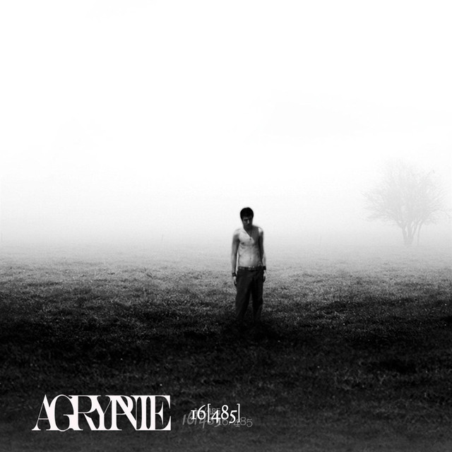 16[485] cover