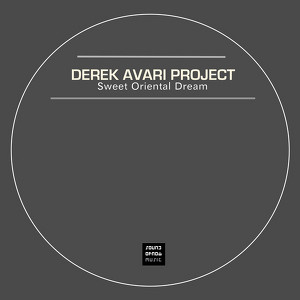Derek Avari Project