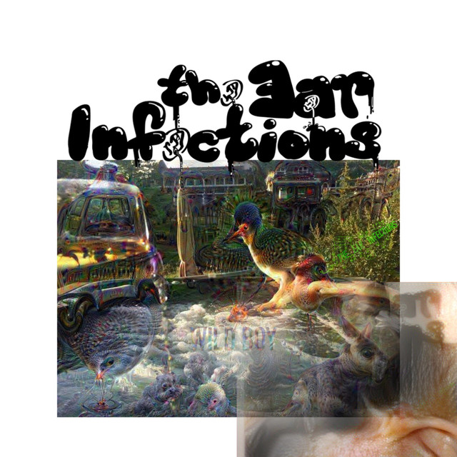The Infections Photo