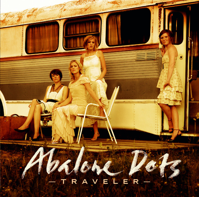Traveler cover
