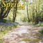 Spring Albumcover