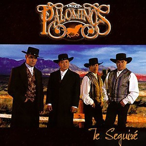 Te Seguiré cover