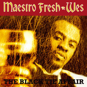 The Black Tie Affair cover