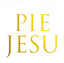 Pie Jesu cover