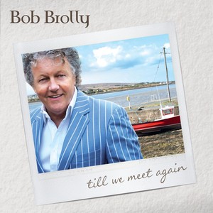 Till We Meet Again Albumcover