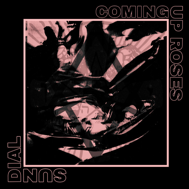 Coming Up Roses Photo
