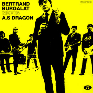 Bertrand Burgalat Meets A.S Dragon cover