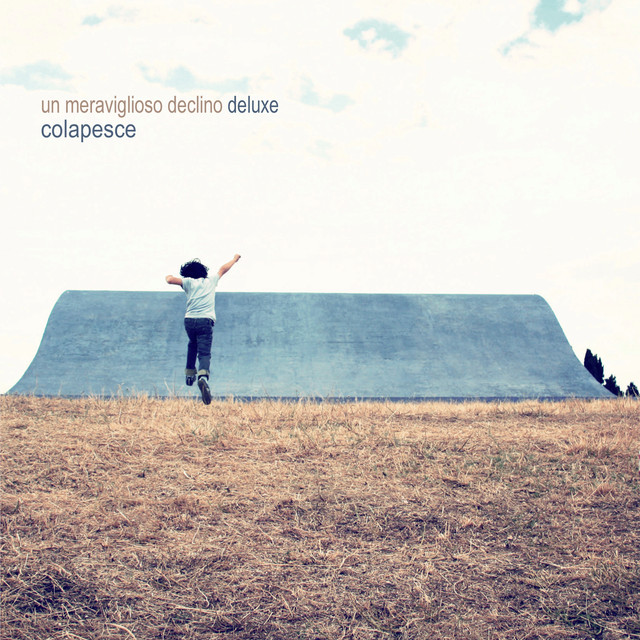 Un Meraviglioso Declino cover