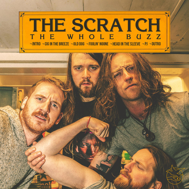 The Whole Buzz cover