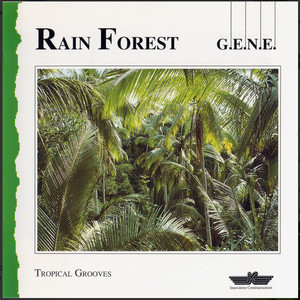 Rain Forest cover