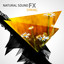 Natural Sound FX: Spring Albumcover