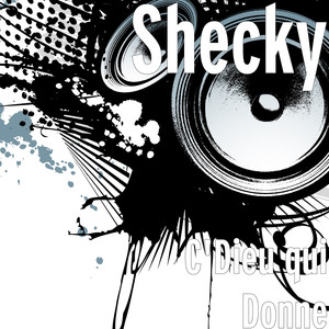 Shecky poster