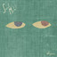 Voyeur cover