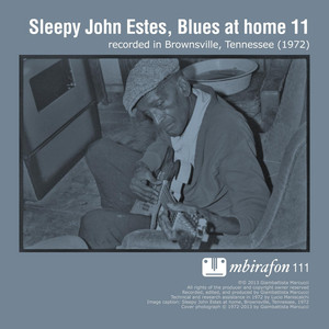 Blues At Home 11 cover