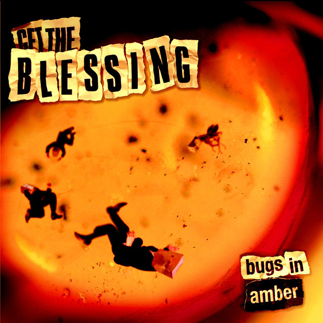 Bugs In Amber cover