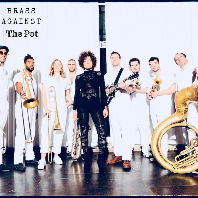 The Pot cover