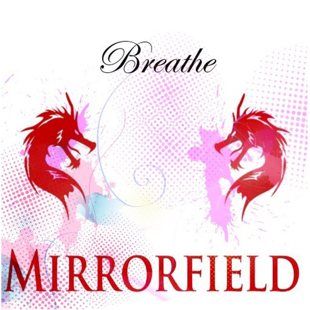 Mirror Field Photo