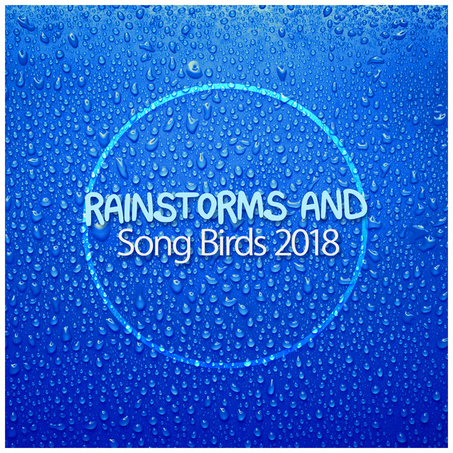 Rainstorms and Song Birds 2018