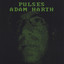 Pulses Albumcover