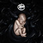 Leben cover