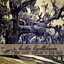 The Ghost Tangled in the Oaks Albumcover