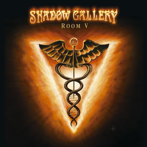 Room V cover