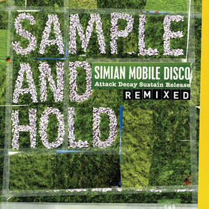 SAMPLE AND HOLD: Attack Decay Sustain Release REMIXED (Standard Version) cover