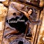 Bons Ventos Sempre Chegam Albumcover