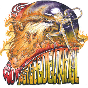 Psychedelonaut cover