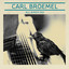 All Birds Say cover