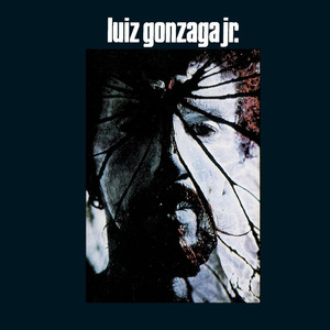 Gonzaguinha cover