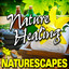 Nature Healing (Nature Sounds) Albumcover