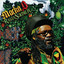 Rasta Soldier cover