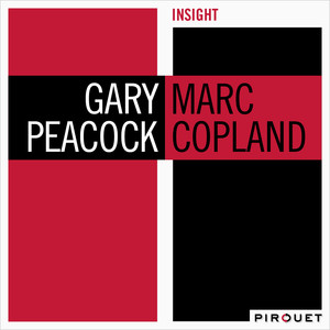 Insight album