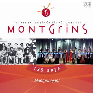 Cobla-Orquestra Montgrins