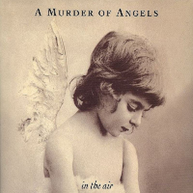 A Murder of Angels Photo