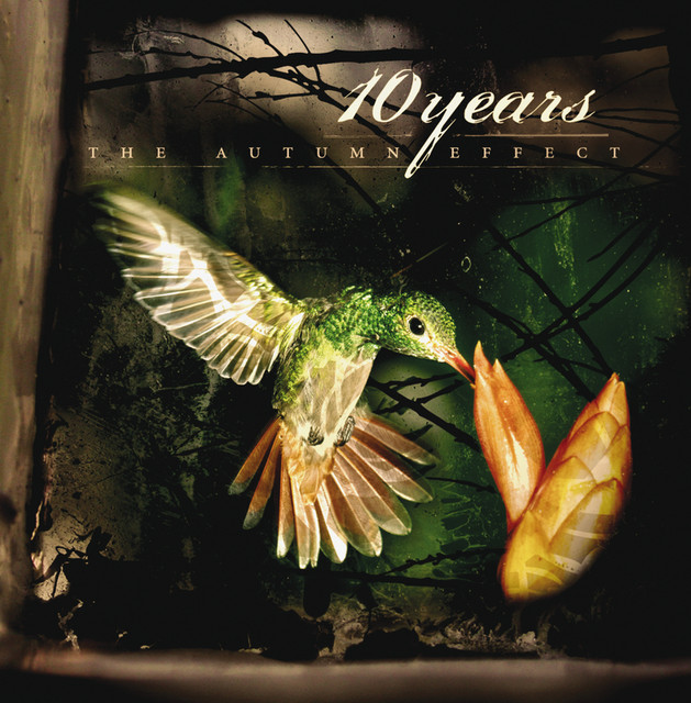 The Autumn Effect cover