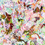 Earthly Delights cover