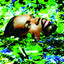 O.Q.P cover