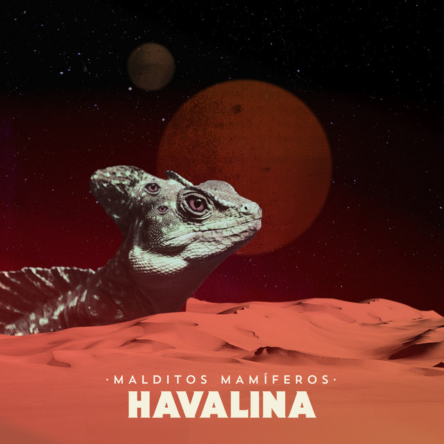 Malditos Mamíferos cover