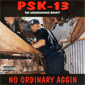 No Ordinary Aggin cover