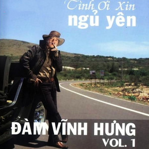 Tình ơi xin ngủ yên cover