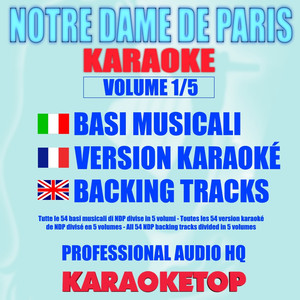 Notre Dame De Paris, Vol. 1/5 (Karaoke Version) album