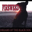 Dreams Of The Black Dog Albumcover